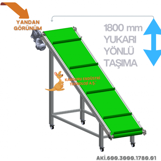 Inclined Conveyor 600x3000x1780 mm