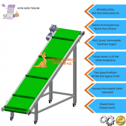 Inclined Conveyor 700x3000x1780 mm