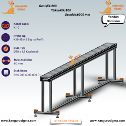200x6000x800 mm Ø30 Avare Rulolu Konveyör